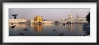 Reflection of a temple in a lake, Golden Temple, Amritsar, Punjab, India Fine Art Print