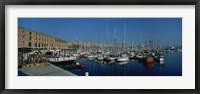 Sailboats at a harbor, Barcelona, Catalonia, Spain Fine Art Print