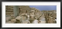 Ruins of ancient Roman city, Leptis Magna, Libya Fine Art Print