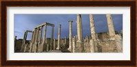 Columns of buildings in an old ruined Roman city, Leptis Magna, Libya Fine Art Print