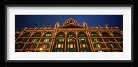 Low angle view of a building lit up at night, Harrods, London, England Fine Art Print