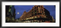 Low angle view of buildings lit up at night, Harrods, London, England Fine Art Print