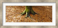 Low section view of a tree trunk, Berlin, Germany Fine Art Print