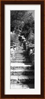 Low angle view of steps in a garden, Neptune's Steps, Tresco Abbey Garden, Tresco, Isles Of Scilly, England Fine Art Print