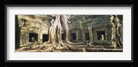 Close up of Old ruins of a building, Angkor Wat, Cambodia Fine Art Print