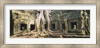 Close up of Old ruins of a building, Angkor Wat, Cambodia Fine Art Print