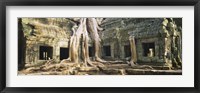Close up of Old ruins of a building, Angkor Wat, Cambodia Fine Art Print
