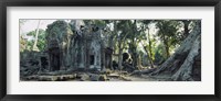 Old ruins of a building, Angkor Wat, Cambodia Fine Art Print