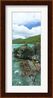 Rocks in the sea, Jumbie Bay, St John, US Virgin Islands Fine Art Print