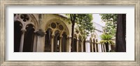 Trees in front of a monastery, Dominican Monastery, Dubrovnik, Croatia Fine Art Print