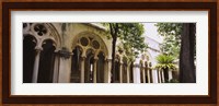 Trees in front of a monastery, Dominican Monastery, Dubrovnik, Croatia Fine Art Print