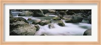 River flowing through rocks, Skokomish River, Olympic National Park, Washington State, USA Fine Art Print