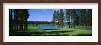 Trees on a golf course, Edgewood Tahoe Golf Course, Stateline, Nevada, USA Fine Art Print