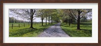 Road passing through a farm, Knox Farm State Park, East Aurora, New York State, USA Fine Art Print