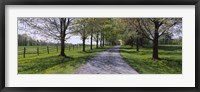 Road passing through a farm, Knox Farm State Park, East Aurora, New York State, USA Fine Art Print