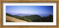 High angle view of a forest, Mt Tamalpais, California, USA Fine Art Print