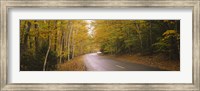 Road passing through a forest, Park Loop Road, Acadia National Park, Mount Desert Island, Maine, USA Fine Art Print