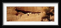 Tree in front of the ruins of cliff dwellings, White House Ruins, Canyon de Chelly National Monument, Arizona, USA Fine Art Print