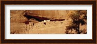 Tree in front of the ruins of cliff dwellings, White House Ruins, Canyon de Chelly National Monument, Arizona, USA Fine Art Print