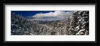 Snow covered pine trees in a forest with a lake in the background, Lake Tahoe, California, USA Fine Art Print