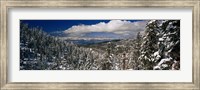 Snow covered pine trees in a forest with a lake in the background, Lake Tahoe, California, USA Fine Art Print