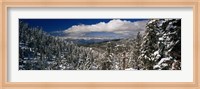 Snow covered pine trees in a forest with a lake in the background, Lake Tahoe, California, USA Fine Art Print