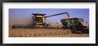Combine harvesting soybeans in a field, Minnesota Fine Art Print