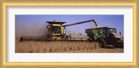 Combine harvesting soybeans in a field, Minnesota Fine Art Print