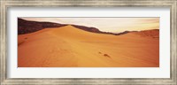 Sand dunes in a desert, Coral Pink Sand Dunes State Park, Utah, USA Fine Art Print
