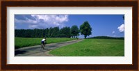 Rear view of a person riding a bicycle on the road, Black Forest, Germany Fine Art Print