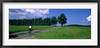 Rear view of a person riding a bicycle on the road, Black Forest, Germany Fine Art Print