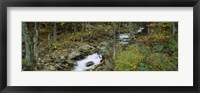 Stream through the Forest, New Hampshire Fine Art Print