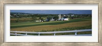 Amish Farms, Pennsylvania Fine Art Print