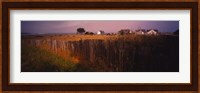 Wooden fence in a field with houses in the background, Mendocino, California, USA Fine Art Print