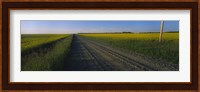 Country Road in Millet, Canada Fine Art Print