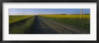 Country Road in Millet, Canada Fine Art Print