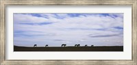 Horses in Field Fine Art Print