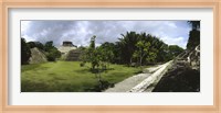 Old ruins of a temple in a forest, Xunantunich, Belize Fine Art Print