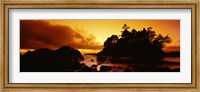 Silhouette of rocks and trees at sunset, Tofino, Vancouver Island, British Columbia, Canada Fine Art Print