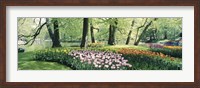 Flowers in a garden, Keukenhof Gardens, Netherlands Fine Art Print