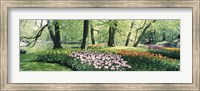 Flowers in a garden, Keukenhof Gardens, Netherlands Fine Art Print