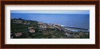High angle view of houses at a coast, Ponta Delgada, Madeira, Portugal Fine Art Print