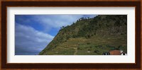 Low angle view of terraced fields on a mountain, Ponta Delgada, Madeira, Portugal Fine Art Print