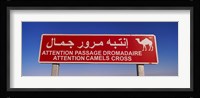 Low angle view of a camel crossing signboard, Douz, Tunisia Fine Art Print