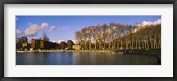 Trees along a lake, Chateau de Versailles, Versailles, Yvelines, France Fine Art Print