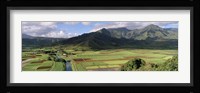 High angle view of a field with mountains in the background, Hanalei Valley, Kauai, Hawaii, USA Fine Art Print