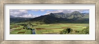 High angle view of a field with mountains in the background, Hanalei Valley, Kauai, Hawaii, USA Fine Art Print