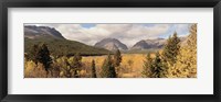 Trees in a field, US Glacier National Park, Montana, USA Fine Art Print