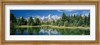 Reflection of trees in water with mountains, Schwabachers Landing, Grand Teton, Grand Teton National Park, Wyoming, USA Fine Art Print