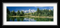 Reflection of trees in water with mountains, Schwabachers Landing, Grand Teton, Grand Teton National Park, Wyoming, USA Fine Art Print
